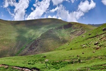 صورة مصغّرة